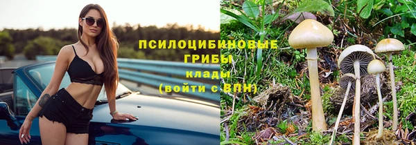 мяу мяу мука Заволжск