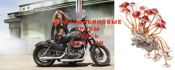мяу мяу мука Заволжск