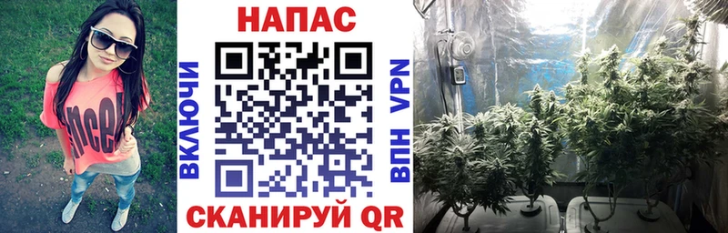 Бошки Шишки гибрид  Зарайск 